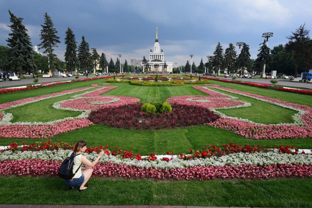 Клумбы на вднх. ВДНХ цветочный партер. Партерные цветники ВДНХ. Цветочная аллея на ВДНХ. ВДНХ лето цветник.