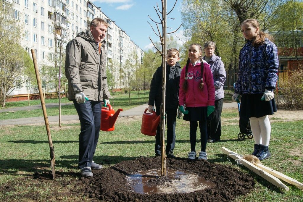 Проект посади дерево в москве
