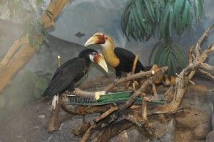 В Зоопарке обновили жилища птиц