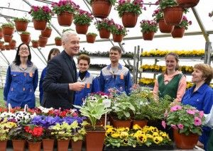 В этом году летнюю Москву украсит 61 миллион цветов - Собянин