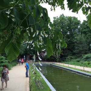 Ботанический сад при университете имени Сеченова открыли для посещения