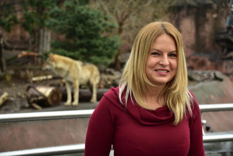 Измученные животные в зоопарке. Дети в зоопарке. Шпороносная черепаха в новосибирском зоопарке фото. Животные зоопарка. Встретимся в зоопарке.