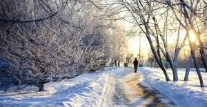Этой зимой в Битцевском лесу можно будет не только приятно провести время, наслаждаясь свежим зимним воздухом, но и узнать много интересного. Фото: mos.ru