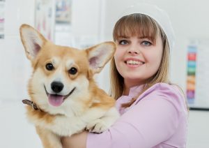 Ежегодно Комитет ветеринарии города Москвы обеспечивает проведение бесплатной массовой вакцинации домашних животных против бешенства. Фото: пресс-служба префектуры ЦАО