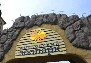На территории Московского зоопарка весной откроют Детский зоопарк. Фото: mos.ru
