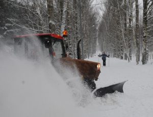 За время снегопада в столице упало более двух тысяч деревьев. Фото: Александр Кожохин, «Вечерняя Москва»