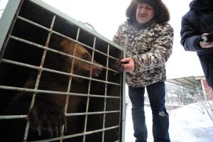 Гости зоосада смогут посетить показательные кормления животных. Фото: Светлана Колоскова, «Вечерняя Москва»