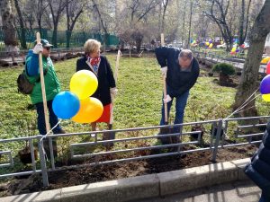 Акция «Миллион деревьев» прошла в районе. Фото: Мария Иванова, «Вечерняя Москва»