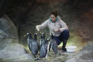 Гости Московского зоопарка смогут самостоятельно кормить животных. Фото: Антон Гердо, «Вечерняя Москва»