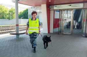 Следить за порядком на станции МЦК «Деловой центр» будут обученные собаки. Фото: официальный сайт мэра и Правительства Москвы