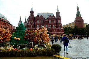 Больше всего сыра и рыбы купили москвичи на фестивале «Золотая осень». Фото: Анна Быкова