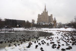 Один из павильонов Московского зоопарка закрыли до конца января. Фото: Антон Гердо, «Вечерняя Москва»