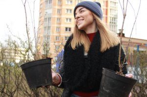 Прием заявок на высадку именных деревьев в Москве продлится до 15 июня. Фото: Наталия Нечаева, «Вечерняя Москва»