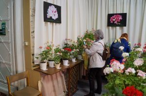 Выставка «Цветы наших садов» пройдет в Биологическом музее. Фото: предоставила пресс-служба музея имени Тимирязева