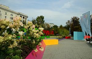 Район украсят летним садом по проекту финалиста фестиваля «Цветочный джем». Фото: Анна Быкова