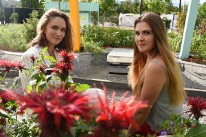 Астры расцветут в саду «Круг». Фото: Пелагия Замятина, «Вечерняя Москва»
