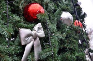 Новогоднюю елку проведут в детском парке «Пресненский». Фото: Анна Быкова
