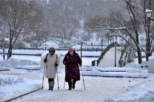Жители столицы старшего возраста займутся скандинавской ходьбой в парке «Красная Пресня». Фото: Анна Быкова