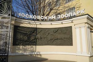 Сотрудники Московского зоопарка проведут онлайн-лекцию Фото: Денис Кондратьев