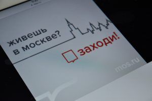 Аналитики Group-IB зафиксировали несколько хакерских атак на mos.ru. Фото: Анна Быкова