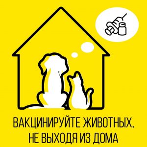 Москвичам рассказали о вакцинации животных на дому