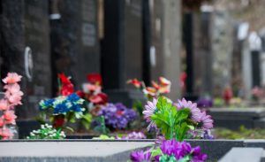 Столичные кладбища закроют для посещений из-за коронавируса. Фото: сайт мэра Москвы