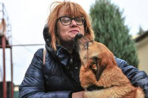 Пожилые москвичи чаще всего просят волонтеров погулять с собакой. Фото: Пелагия Замятина, «Вечерняя Москва»