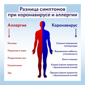 Москвичей предупредили о продлении сезона аллергии на июнь 2020
