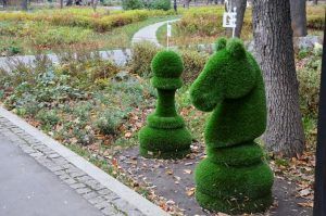 Столичные парки и зеленые территории откроют в Москве с 1 июня. Фото: Анна Быкова