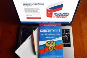 Двухкратная олимпийская чемпионка Карина Азнавурян проголосовала по Конституции онлайн. Фото: сайт мэра Москвы