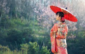 Искусство Китая и Японии: онлайн-экскурсии проведут в Музее Востока. Фото: pixabay.com
