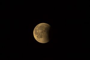Представители Московского планетария сообщили о полутеневом затмении Луны. Фото: pixabay.com