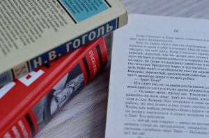 Литературный институт опубликовал расписание собеседований для абитуриентов. Фото: Анна Быкова