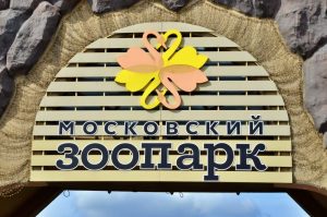 Вольер японских макак обновили в Московском зоопарке. Фото: Анна Быкова