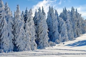 На ВДНХ открыт новый зимний сезон. Фото: pixabay.com