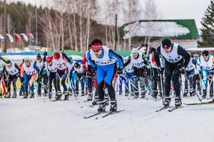 Открытый турнир по лыжному спорту проведут в парке «Красная Пресня». Фото: pixabay.com