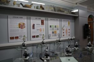 Выставка «100 лет» откроется в биологическом музее. Фото предоставила пресс-служба государственного биологического музея имени Климента Тимирязева