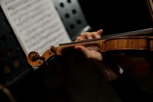 Концерт скрипичной музыки состоится в молодежной библиотеке. Фото взято с официального сайта культурного учреждения 