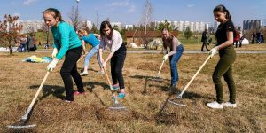 Порядка 5,5 тысячи кустарников и 785 деревьев высадили в рамках общегородского субботника. Фото: сайт мэра Москвы