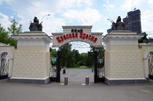 Танцевальный флешмоб состоится в парке «Красная Пресня». Фото: Анна Быкова