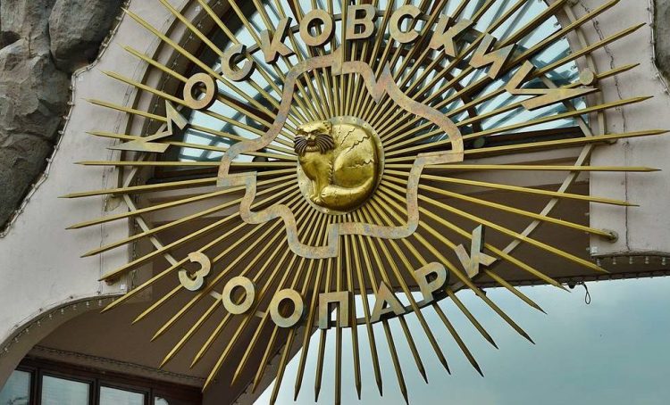 Главархив запустил выставку к 160-летию Московского зоопарка. Фото: Анна Быкова, «Вечерняя Москва»