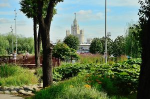 Новый проект «Лето в Москве» объединит все летние мероприятия столицы. Фото: Анна Быкова, «Вечерняя Москва