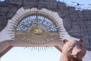 Морские зайцы поселились в Московском зоопарке. Фото: Ксения Догонашева, «Вечерняя Москва»