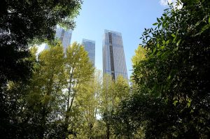 Мастер-класс по ораторскому мастерству состоится в Парке «Красная Пресня». Фото: Анна Быкова, «Вечерняя Москва»