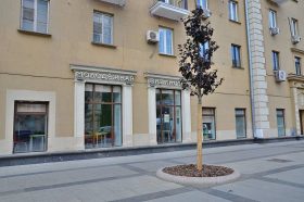 Лекция-квиз состоится в «Светловке». Фото: Анна Быкова, «Вечерняя Москва»