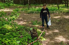 Ученик школы №1239 принял участие в «Зеленой олимпиаде». Фото: страница школы №1239 в социальных сетях