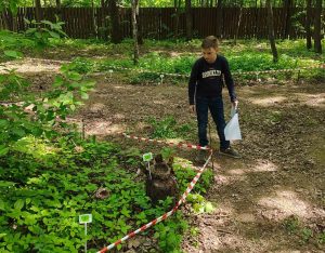 Ученик школы №1239 принял участие в «Зеленой олимпиаде». Фото: страница школы №1239 в социальных сетях