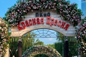 SPA-процедуру москвичи могут посетить в Парке «Красная Пресня». Фото: Telegram-канал парка «Красная Пресня»