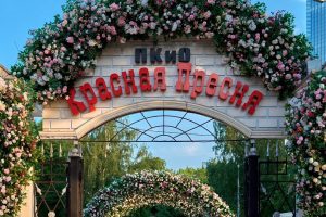 SPA-процедуру москвичи могут сделать в Парке «Красная Пресня». Фото: Telegram-канал парка «Красная Пресня»