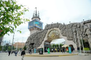 Территории проживания малайских медвежат совместили в Московском зоопарке. Фото: Анна Быкова, «Вечерняя Москва»